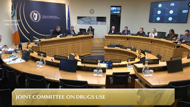 <p>The Oireachtas committee on drugs use also heard from Mariam Jashi, a former deputy health minister of Georgia, on Thursday. Picture: Oireachtas.ie </p>