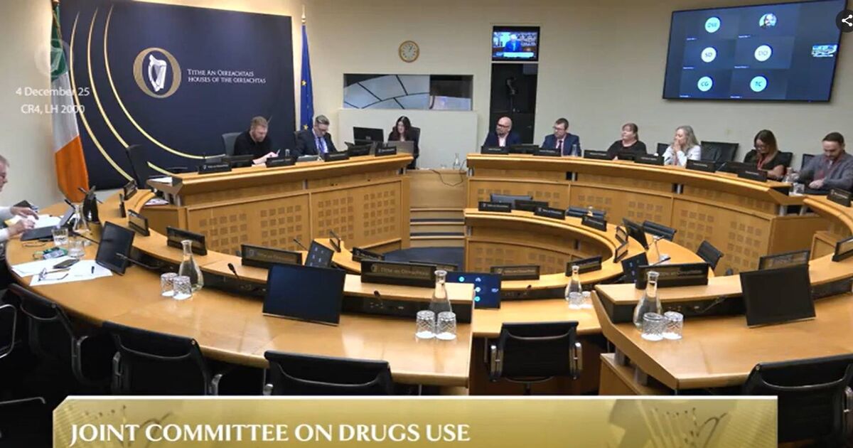 Drug abuse: Focus on health is better than punishment, Oireachtas committee hears