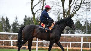 <p>Ryan Moore has left the chance of winning himself some of the $30.5 million on offer in Dubai today, or $3m available to jockeys, to ride Albert Einstein at the Curragh. Pic: Healy Racing</p>