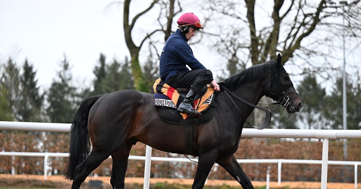 Ruby Walsh: Racing needs to ignite passion for the sport, maybe Albert can be the Einstein to do it