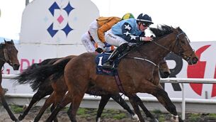 <p> GALLOPER: Bishopton and Paddy Harnett won for trainer Natalia Lupini. Pic: Healy Racing</p>