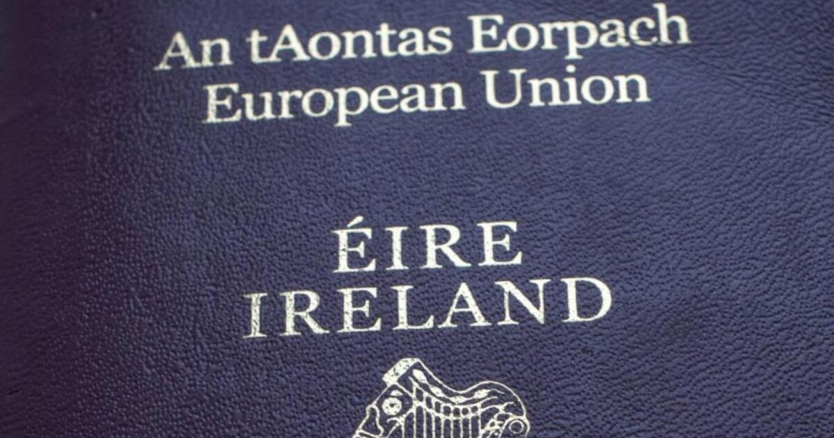 More than 24,000 new Irish citizenships granted in 2024