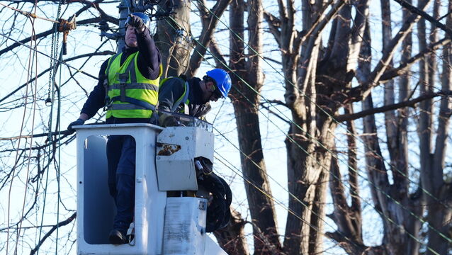 ESB Networks managing director Nicholas Tarrant said 768,000 customers lost electricity at the peak of Storm Éowyn with over 10,000 faults recorded, much of it caused by 'falling timber and forestry'. File Picture: PA <p>ESB Networks managing director Nicholas Tarrant said 768,000 customers lost electricity at the peak of Storm Éowyn with over 10,000 faults recorded, much of it caused by 'falling timber and forestry'. File Picture: PA</p>