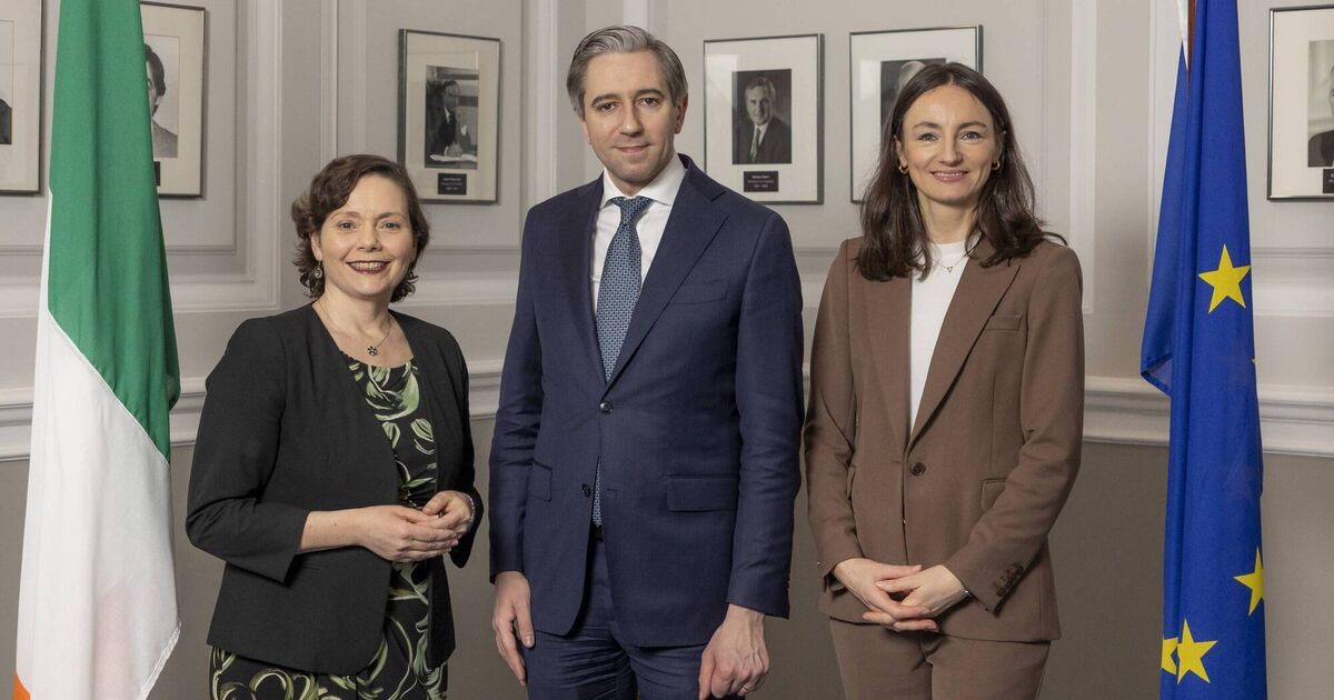 Financial Services Ireland calls for tax exemption for investment accounts