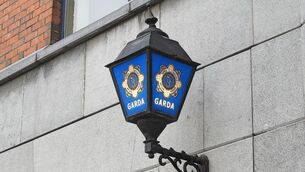 <p>Gardaí are now appealing for anyone who witnesses the incident to come forward.</p>