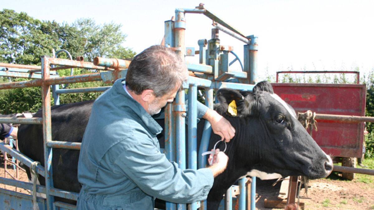 Minister issues important update on Bovine TB Action Plan