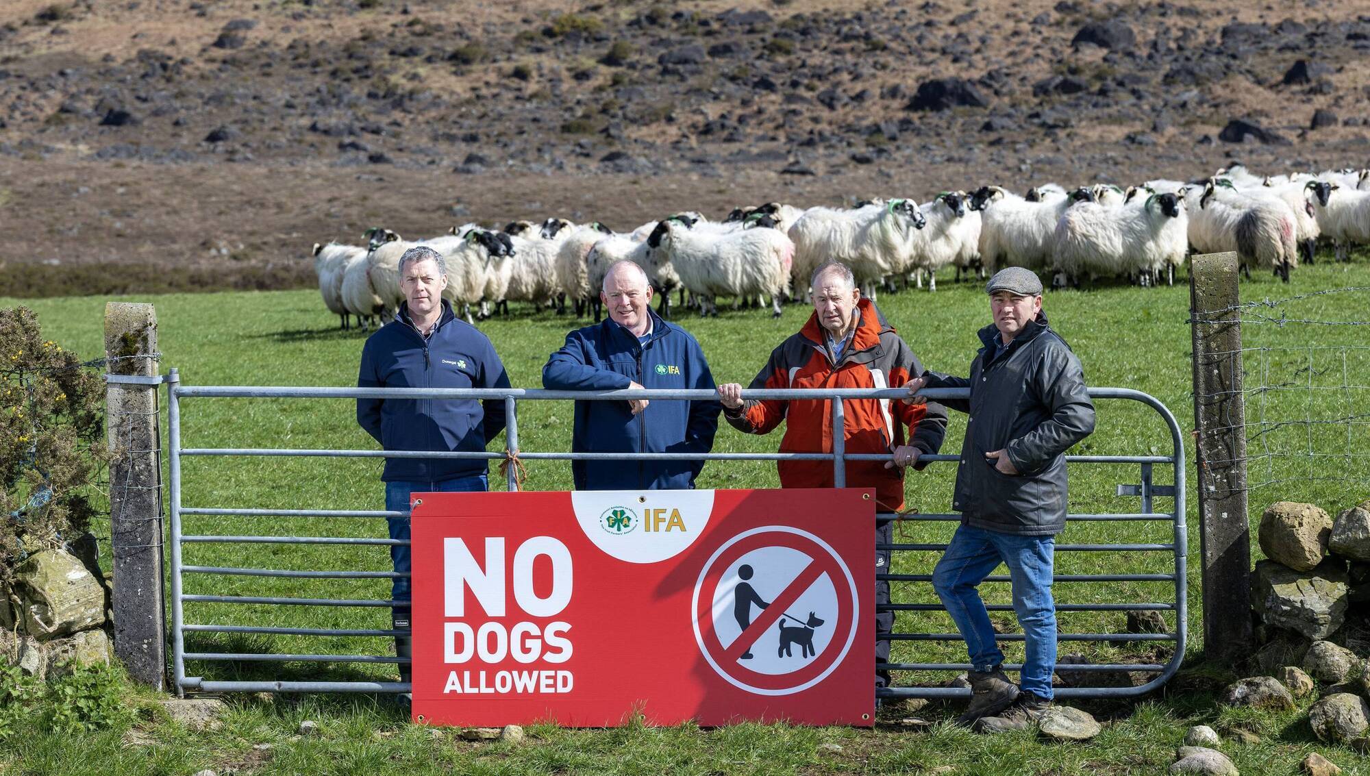 Countryside council joins IFA to launch ‘No Dogs Allowed’ campaign
