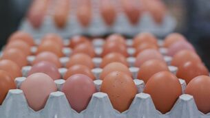 <p>IFA Poultry chair Brendan Soden said: 'We are now calling on retailers and packers to step up immediately and deliver a concrete response.'</p>