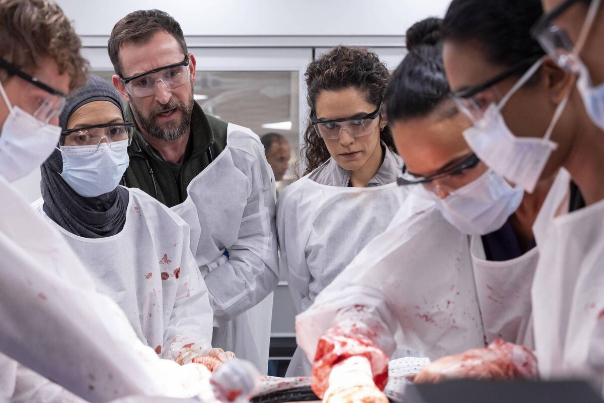  Noah Wyle plays Dr Michael 'Robby' Robinavitch, bringing all the subtlety and intelligence to a part that could fairly be described as Carter all grown up, but is absolutely none the worse for that. 