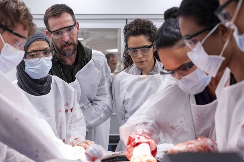 Noah Wyle plays Dr Michael 'Robby' Robinavitch, bringing all the subtlety and intelligence to a part that could fairly be described as Carter all grown up, but is absolutely none the worse for that. Noah Wyle plays Dr Michael 'Robby' Robinavitch, bringing all the subtlety and intelligence to a part that could fairly be described as Carter all grown up, but is absolutely none the worse for that.