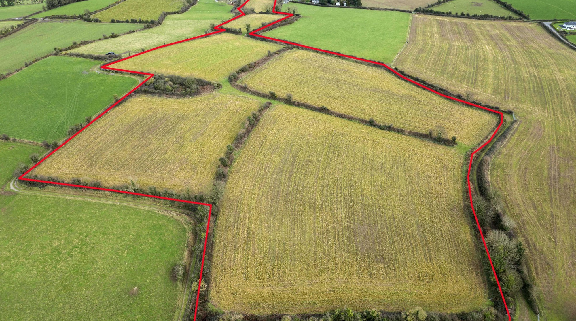 Busy Wexford land auctions: New Ross farm fetches strong prices, Gorey lots set for April