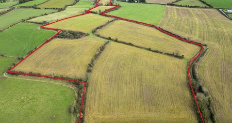 Busy Wexford land auctions: New Ross farm fetches strong prices, Gorey lots set for April
