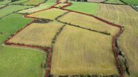 'Exceptional' Westmeath farm with 143 acres to be auctioned in December