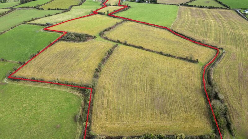 Busy Wexford land auctions: New Ross farm fetches strong prices, Gorey lots set for April