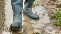 With rubber boots through the mud.
