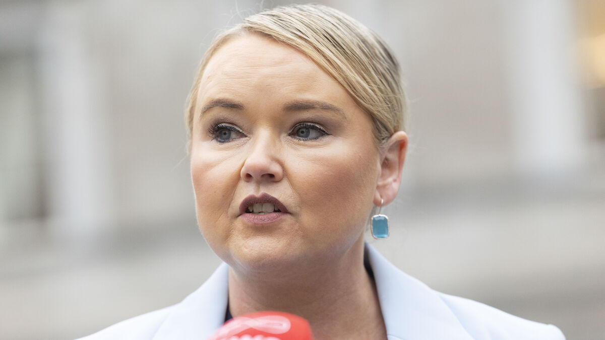 Certificate of loss for early miscarriages could be in place by next year, Oireachtas hears