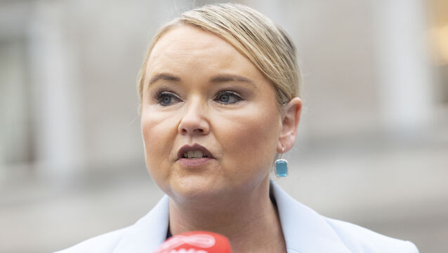 <p>' I really struggled to have a family and I lost five babies myself. I’ve two children now and I’m very lucky, but there’s no question I would get involved in supporting this,' Senator Linda Nelson Murray said. File picture: Sam Boal/Collins</p>