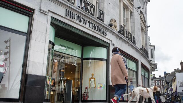 <p>One of the offences the defendant was charged with was a theft at Brown Thomas where three pairs of jeans valued €350 were stolen on January 28. File picture: Dan Linehan</p>