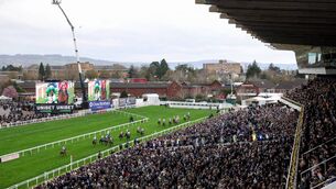 <p>N0N-RUNNER: Cheltenham is losing three of its 16 days racing in 2026. 	Picture: Harry Murphy/Sportsfile</p>