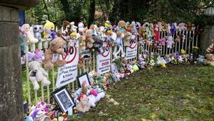 <p>The gates of Bessborough Mother were covered with teddy bears during a vigil this month  which saw people gather to protest Cork City Council’s approval of the apartments. Picture: Chani Anderson</p>