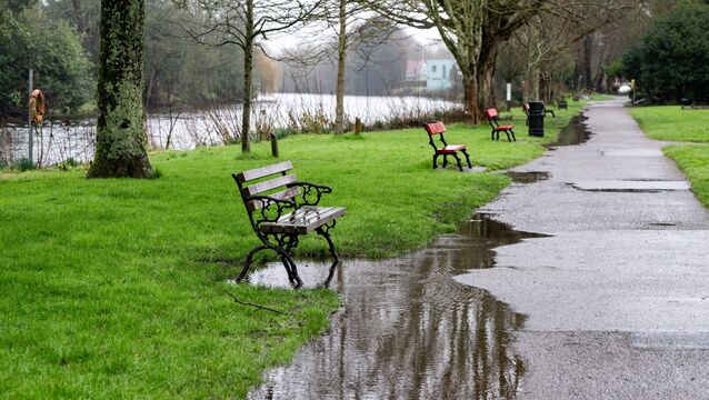 <p>Tuesday started off dull with some patches of rain and drizzle. However, some sunny breaks are possible with highs of 11C to 14C set for the day. Picture Chani Anderson </p>