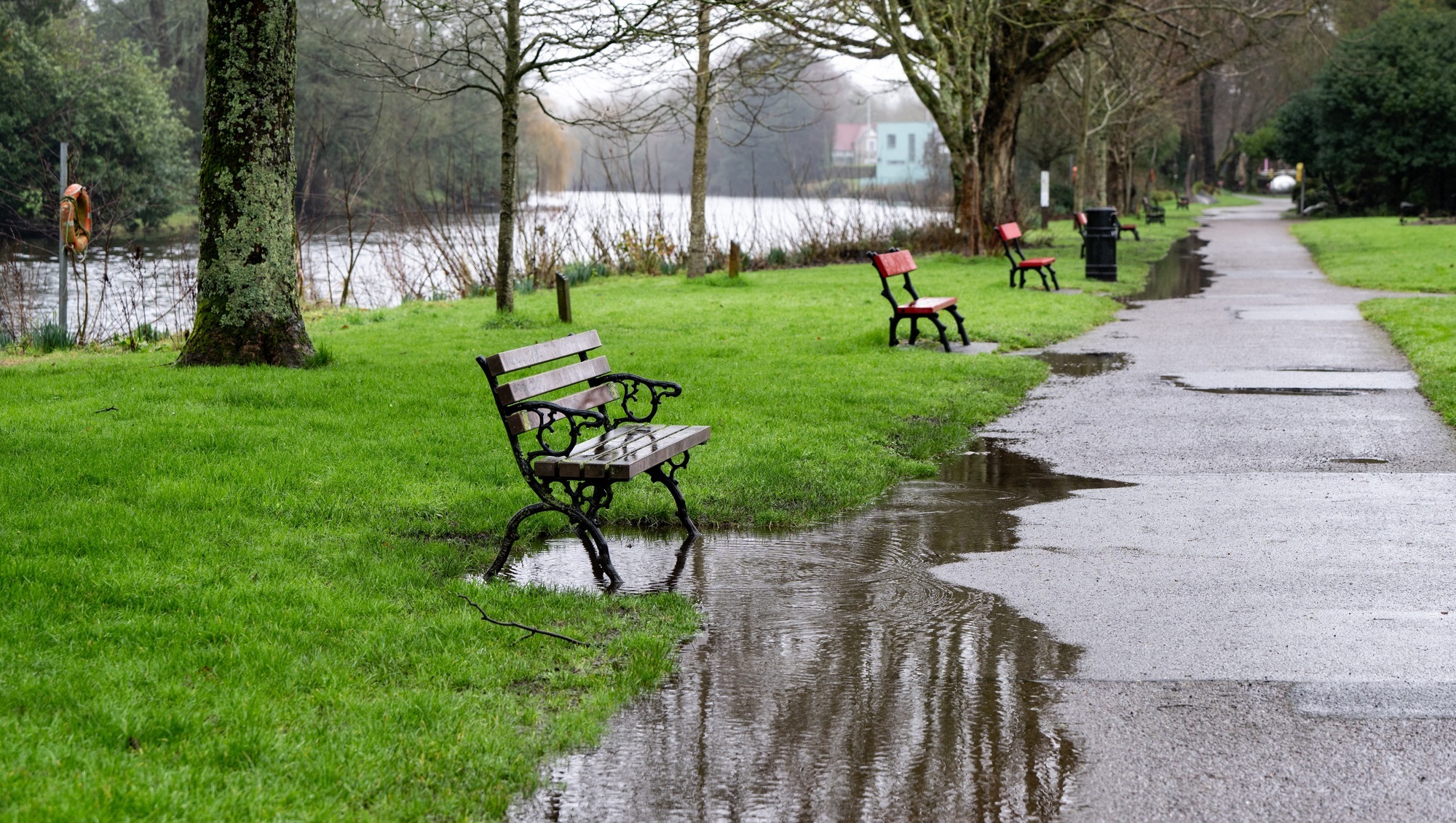 Wet and windy weather in store for long weekend