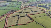 Two former tree plantations totalling 170 acres up for auction