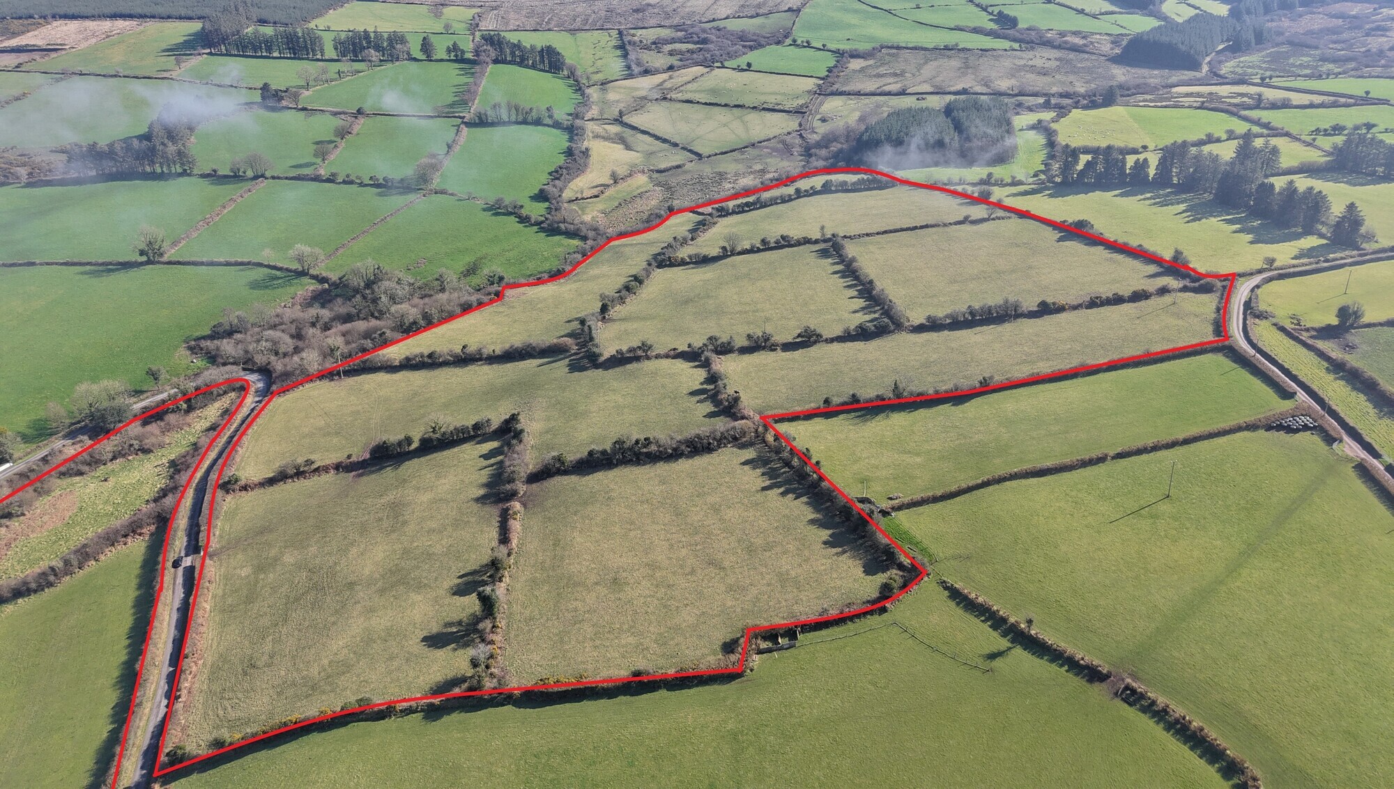 €12k/acre expected at auction of Déise holding