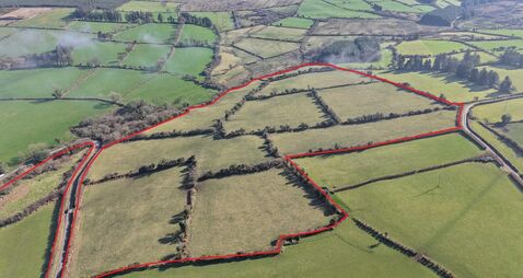 €12k/acre expected at auction of Déise holding