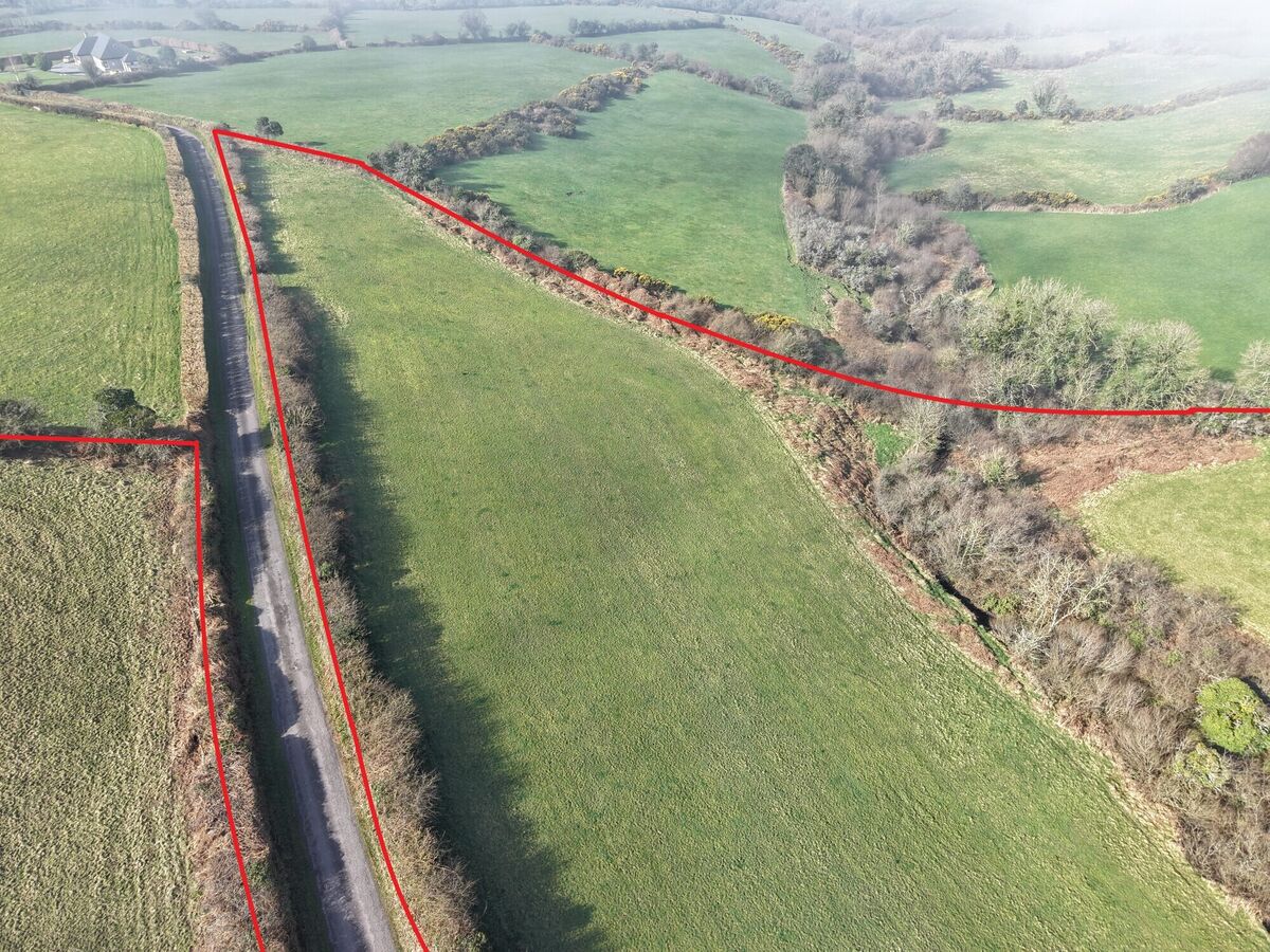 A section of the road frontage on the land.