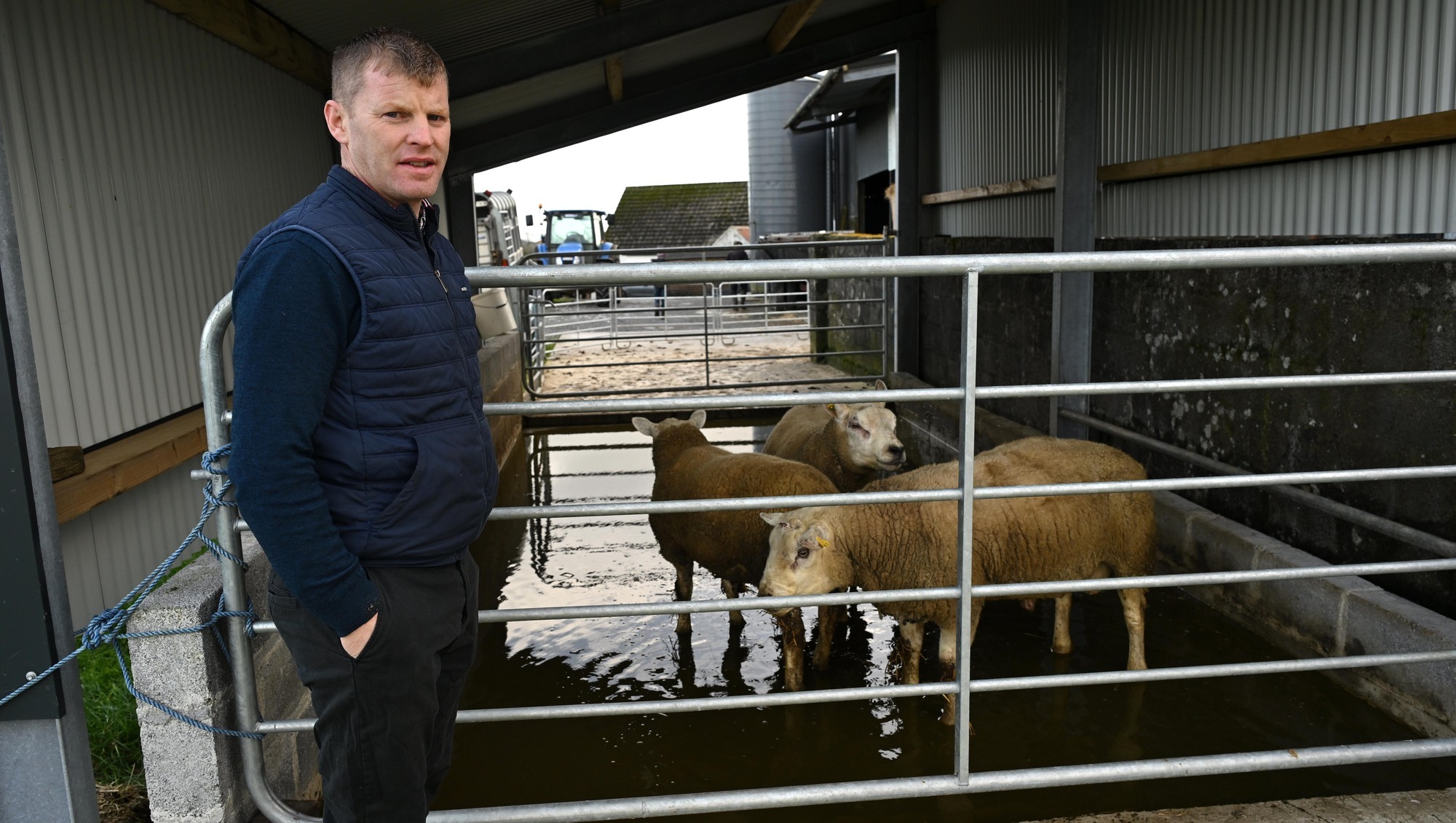 Signpost: Successful lambing, soil management, and feed strategies