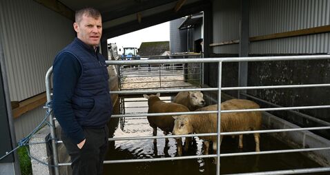 Signpost: Successful lambing, soil management, and feed strategies