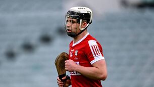 <p>Barry Walsh of Cork. Pic: Ben McShane/Sportsfile</p>