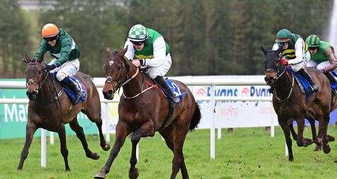 'Job done': Collins relieved as Royal Belief takes Limerick win