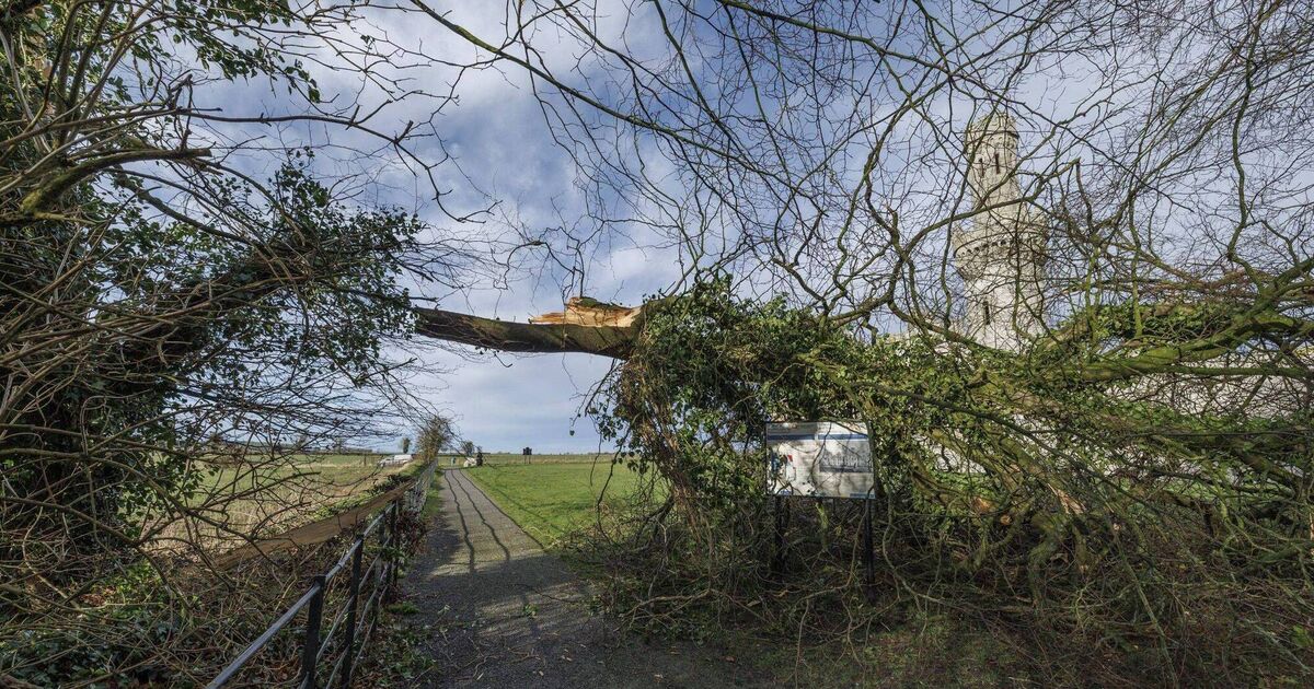 'We are giving steroids to the weather, so the weather is landing stronger punches'