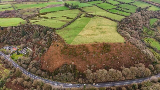<p>The farm is on the main Killarney-Tralee road.</p>