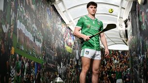 <p>Limerick hurler Adam English. Pic: Sam Barnes/Sportsfile</p>