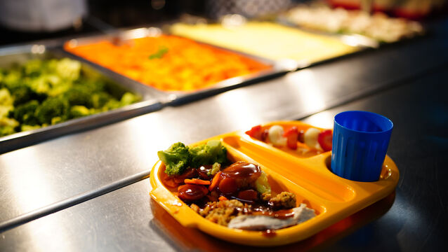 <p>As well as advocating for universality of the programme, the Children’s Rights Alliance advocated for improving nutrition standards of the current school meals on offer. File photo</p>