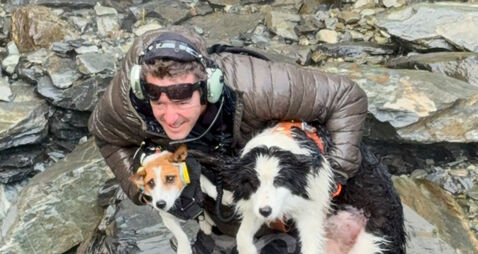 New Zealand Dog Rescue