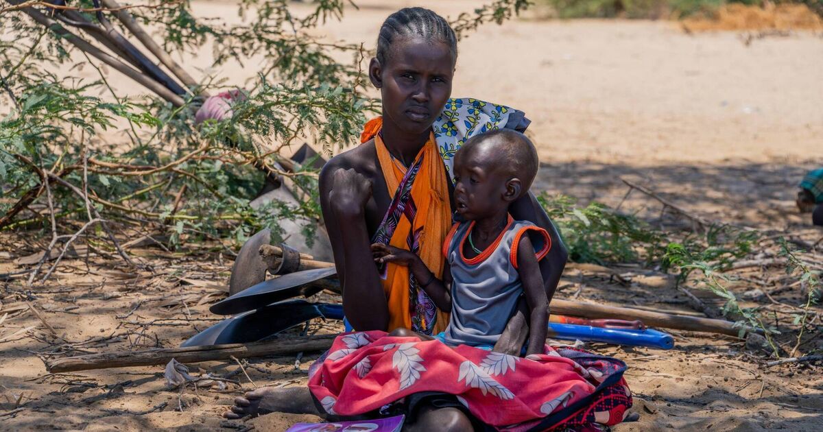 'People spend days without food': Kenyans suffering malnutrition due to recurring droughts