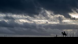 <p>Met Éireann said it is likely that weather warnings will be issued later in the week. Picture: Chani Anderson</p>