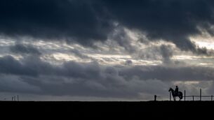 <p>Met Éireann said it is likely that weather warnings will be issued later in the week. Picture: Chani Anderson</p>