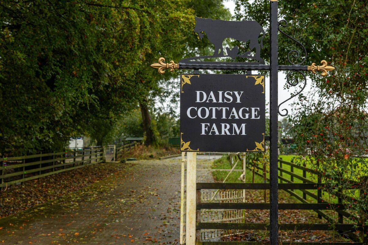 Daisy Cottage Farm, Kiltegan, Wicklow