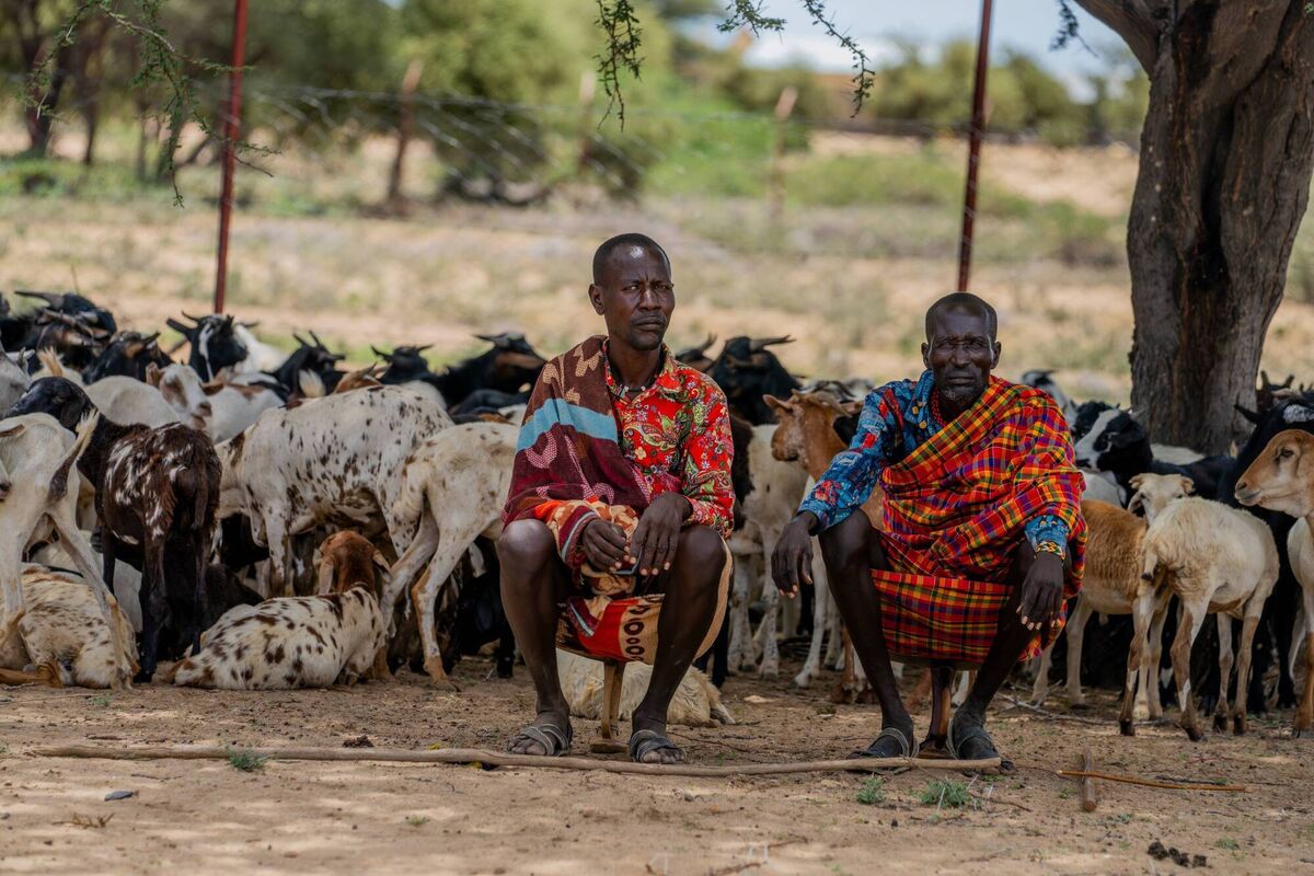 David Aote and Ebei Tukon at the goat vaccination clinic. 