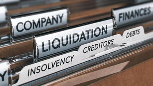 <p>The average lifespan of companies declaring insolvency in was just under 14 years, up from just under 12 years for 2025. The shortest-lived company was less than a year old, while the longest lifespan was almost 54 years.</p>