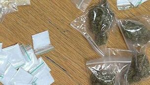 <p>The value of the cannabis was put at €500,000 and the cocaine at €1,200, subject to analysis. File picture</p>