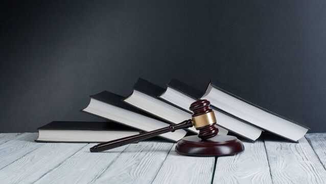 <p>Mr Justice Humphreys said the development 'must be one of the most thoroughly litigated projects in recent times'. Picture: iStock</p>