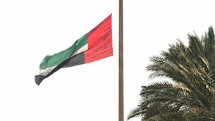 <p>The woman from Sligo, who cannot be named for legal reasons, has been holed up in the United Arab Emirates since January and cannot leave because her daughter has a British passport and cannot get emergency travel documents. File picture: Nasser Younes/AFP/Getty Images</p>