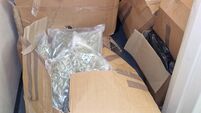Four arrested as Gardaí seize €7m worth of cannabis in Co Kildare