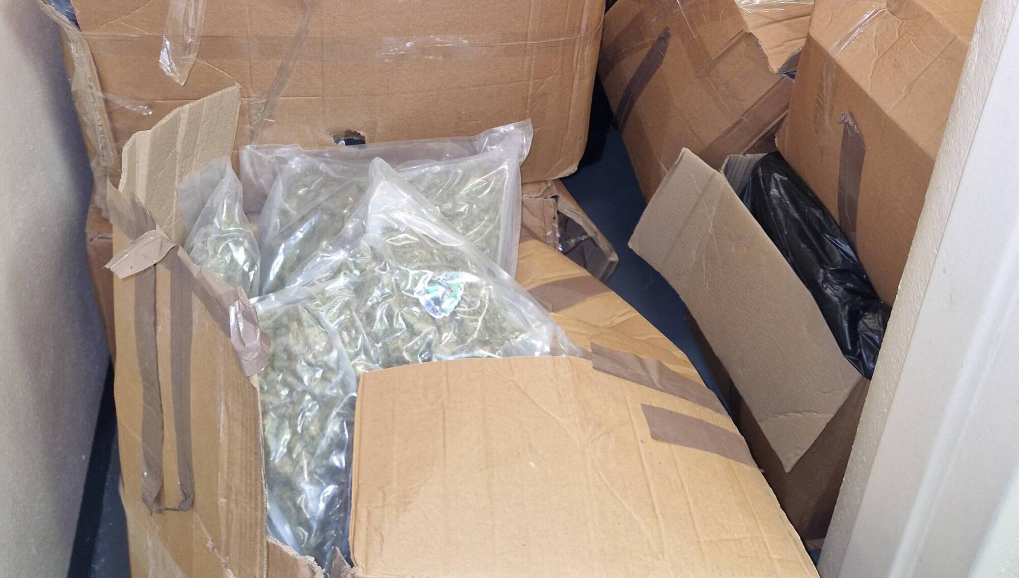 Four arrested as gardaí seize €7m worth of cannabis in Co Kildare